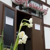 Marienhof - Bild 3 - ansehen